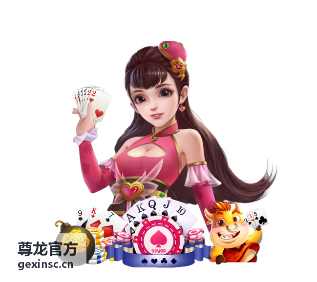 尊龙官方服务流程详解封面图